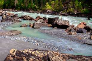 Glacial river scene-0758